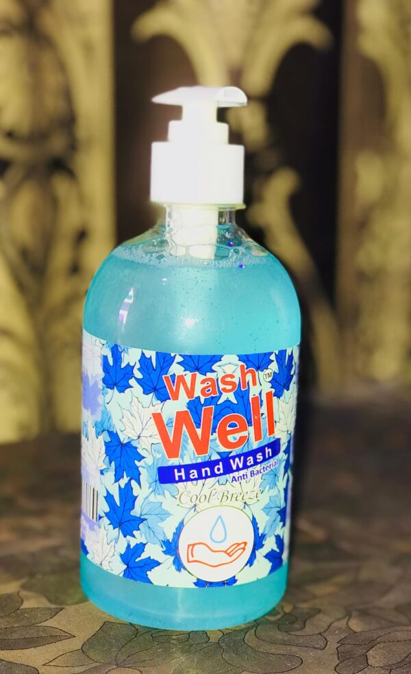 Hand Wash - Wash Well - Image 2